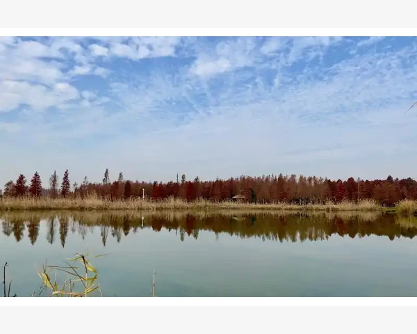 补气补肾，女性可以用什么药物来改善呢？